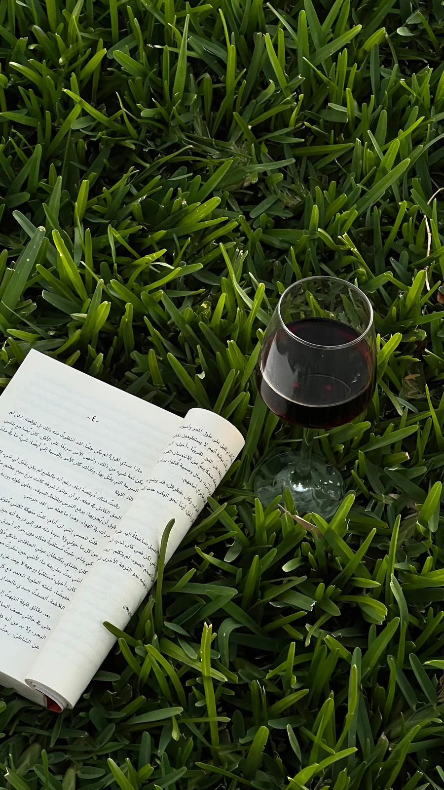 Livre ouvert et verre de vin rouge posés dans l'herbe