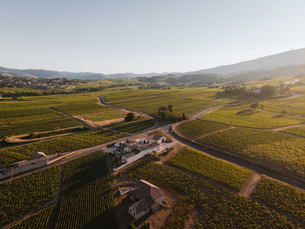 Domaine des Marrans — photo 1