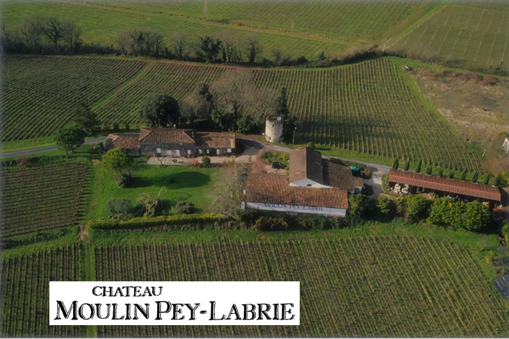 Château Moulin Pey-Labrie — photo 2