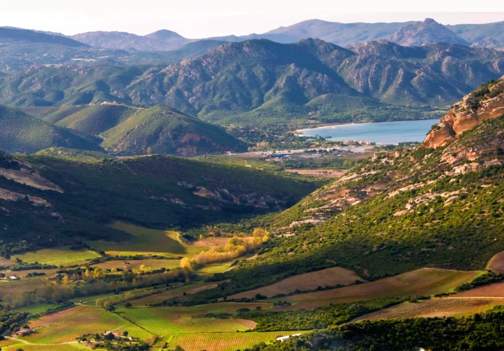 Vignobles et montagnes corses dominant un golfe turquoise