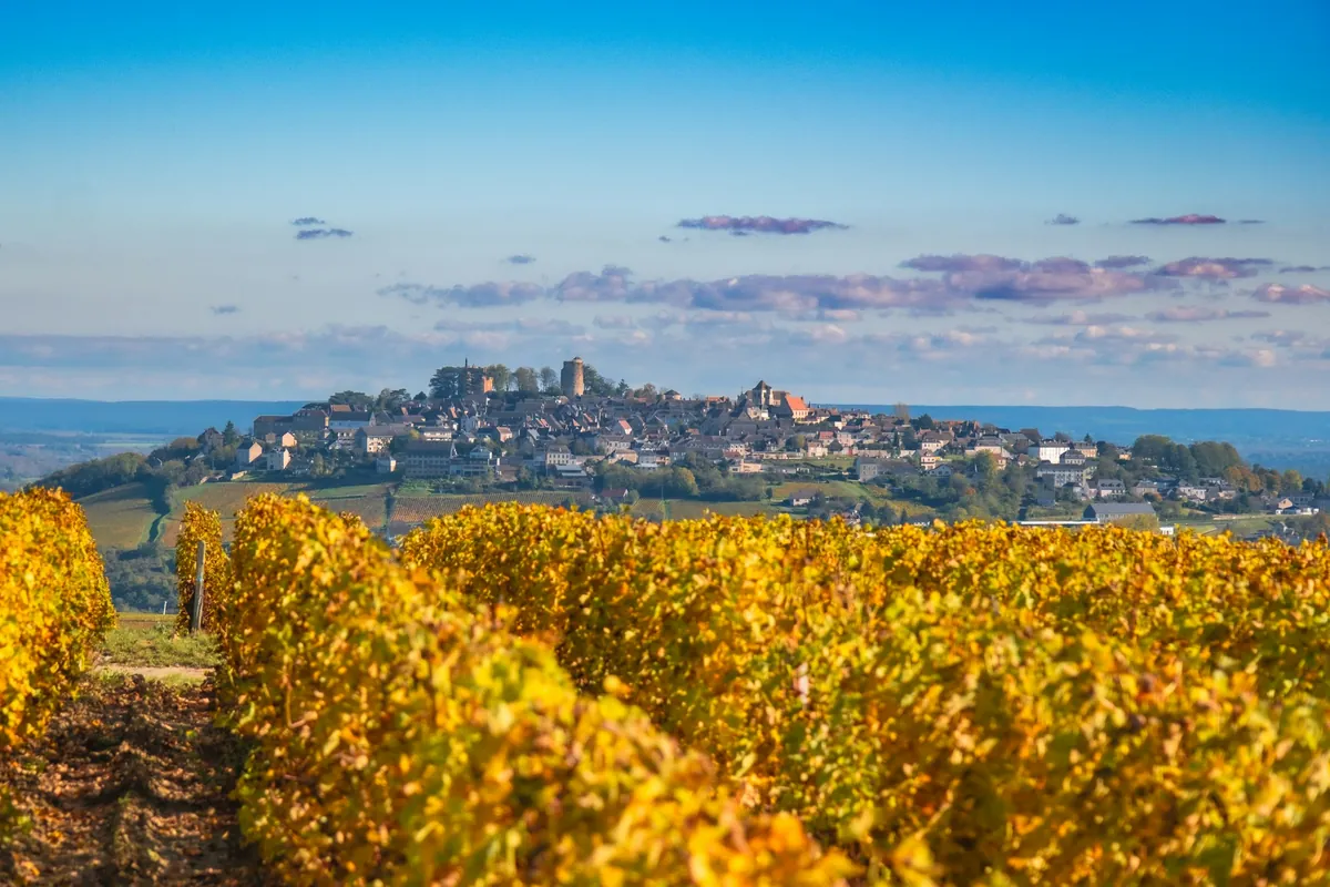 Sancerre : d'où vient ce goût de « pierre à fusil » ?