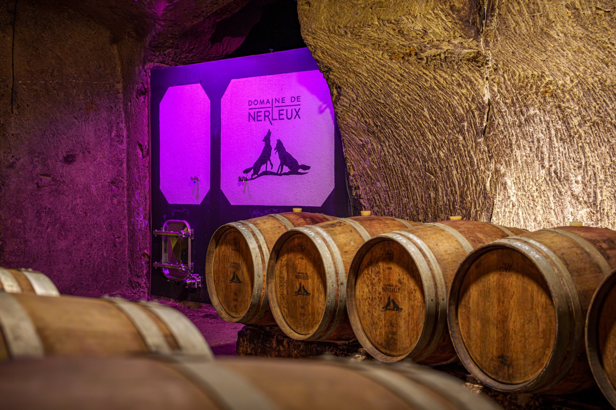 Domaine de Nerleux — photo 1