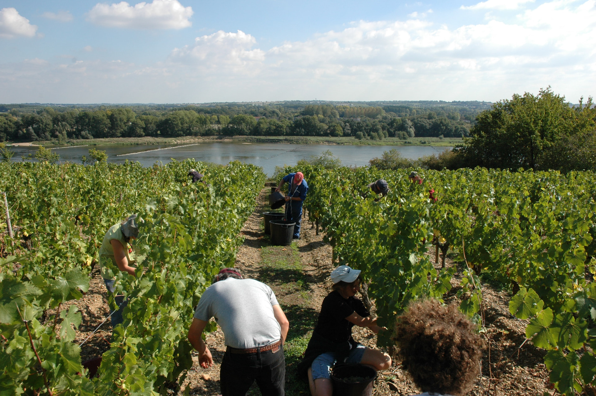 Château d'Épiré — photo 2