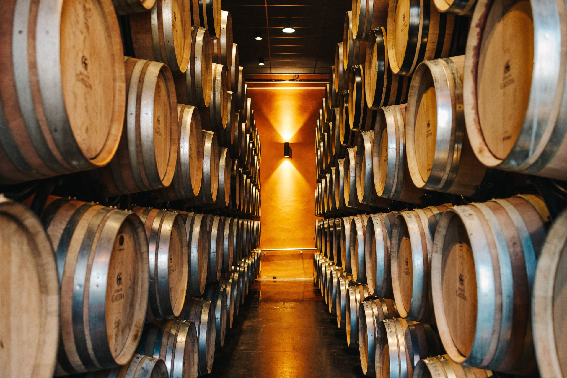 Domaine Gayda — photo 2