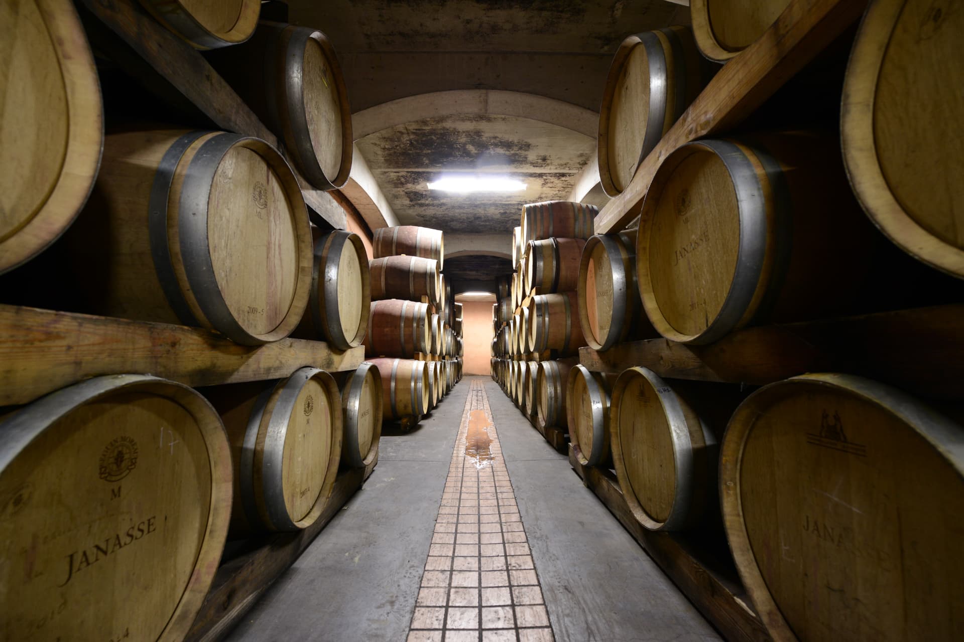 Domaine de la Janasse — photo 2