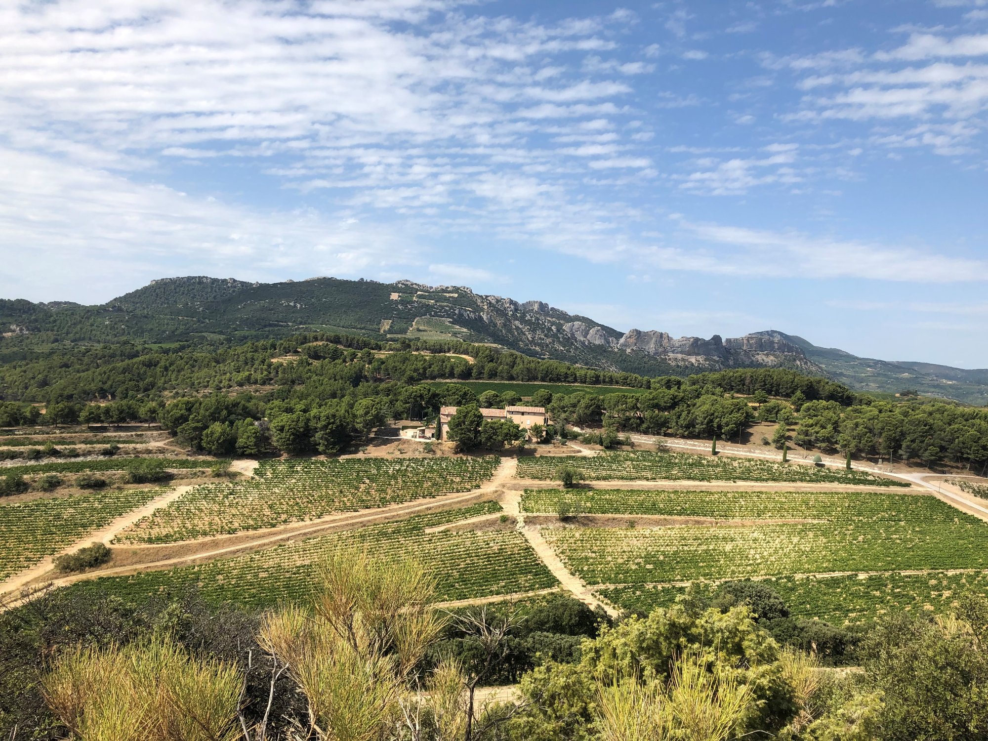 Domaine de Durban — photo 1